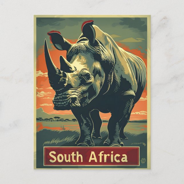 Rhino South Afrika Vintage Vykort (Framsida)