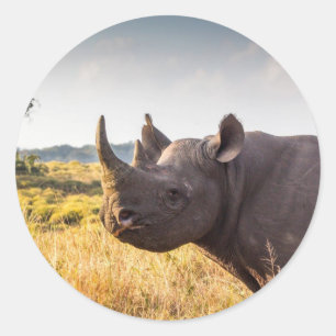 Rhino Sticker Runt Klistermärke