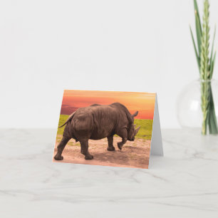 Rhino Sunset Kort