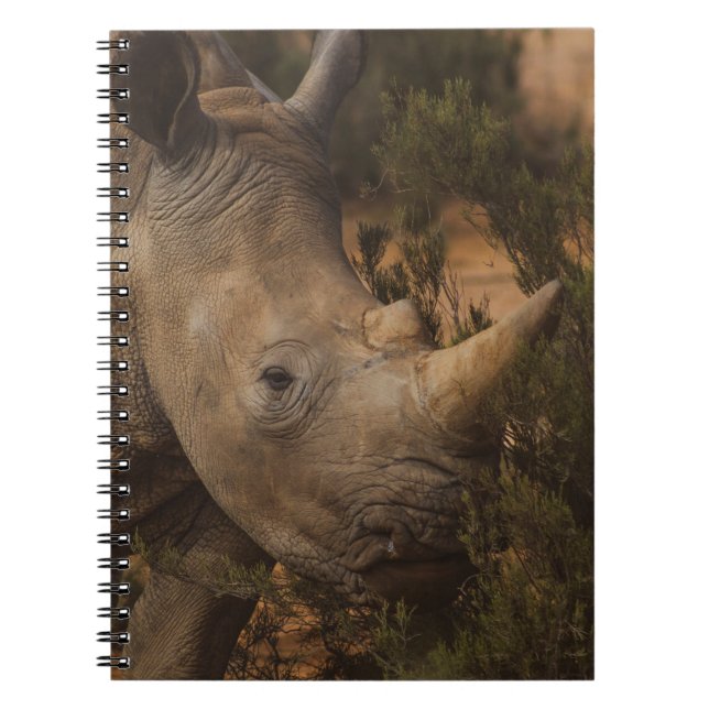 RHINO VILDA DJUR ANTECKNINGSBOK (Framsidan)