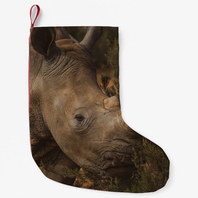 RHINO VILDA DJUR LITEN JULSTRUMPA (Framsidan)
