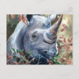 Rhino-vykort Vykort