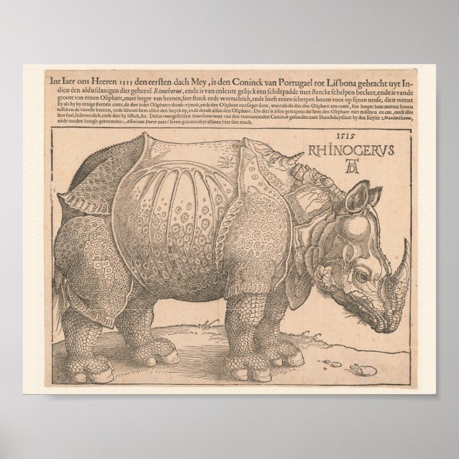Rhinoceros - Albrecht Dürer 1515 Woodcut Gravure Poster (Framsidan)