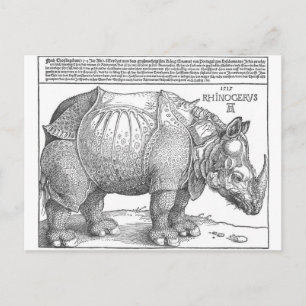 Rhinoceros av Albrecht Durer Vykort