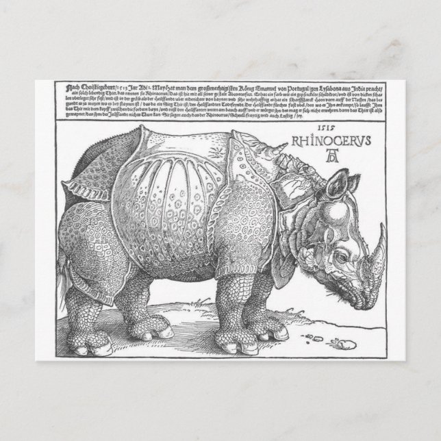 Rhinoceros av Albrecht Durer Vykort (Framsida)