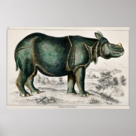 Rhinoceros av Oliver Goldsmith Poster