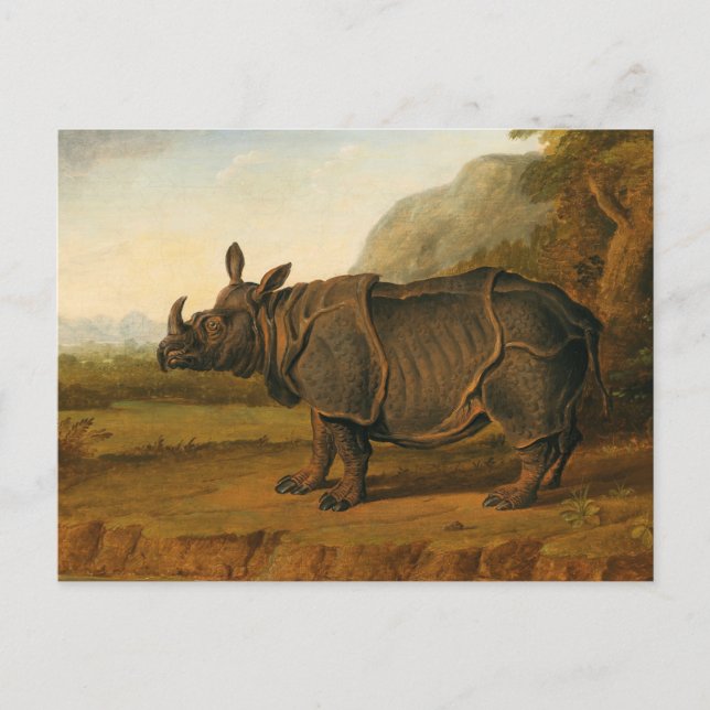 Rhinoceros Clara av Jean-Baptiste Oudry Vykort (Framsida)