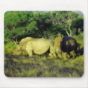 Rhinoceros Couple Wildlife Photography Musmatta