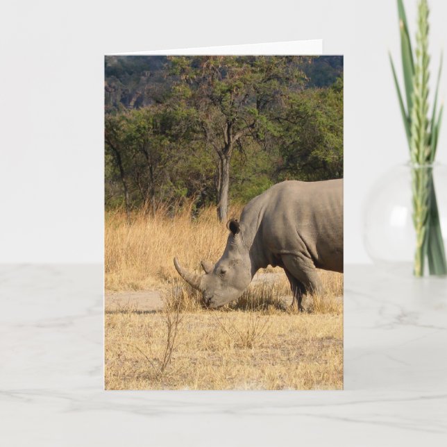 Rhinoceros Family Greeting-kort Kort (Framsida)