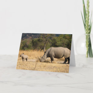 Rhinoceros Family Greeting-kort Kort