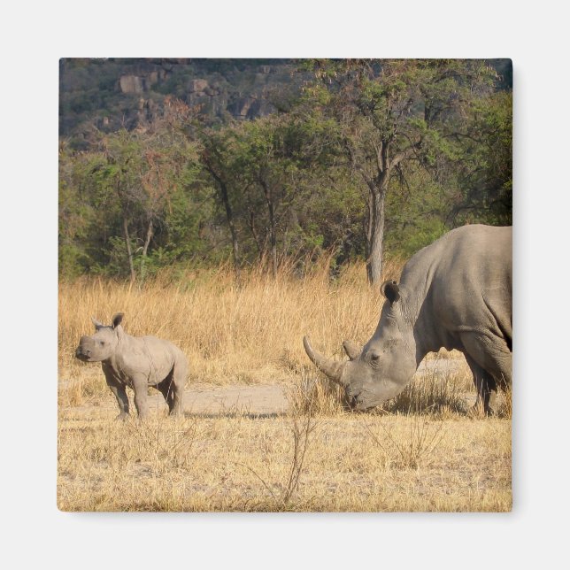 Rhinoceros Family Square Magnte Magnet (Framsidan)