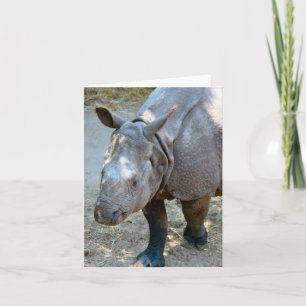 Rhinoceros-fotomappat anteckningskort
