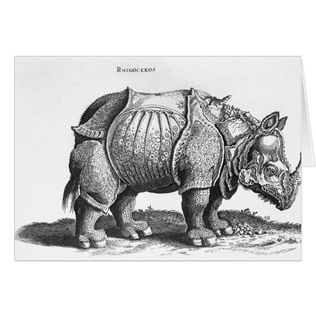 Rhinoceros från Historia Animalium Hälsningskort (Framsidan Horizontal)
