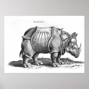 Rhinoceros från Historia Animalium Poster