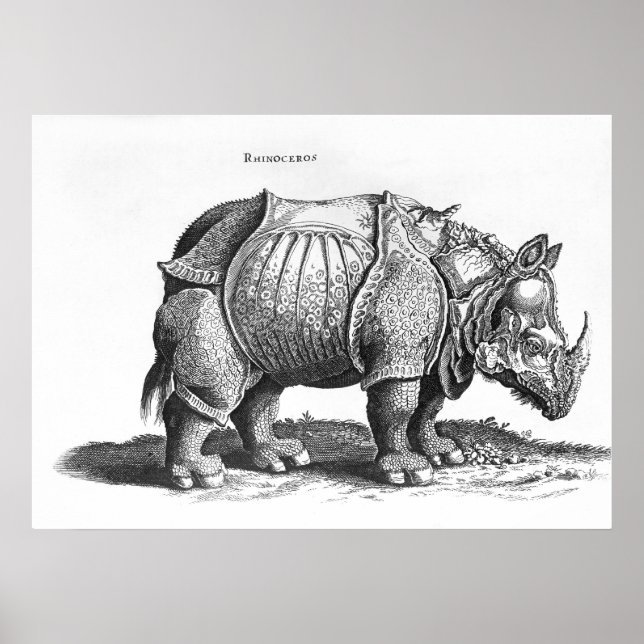 Rhinoceros från Historia Animalium Poster (Framsidan)