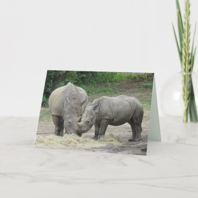 Rhinoceros Greeting Card Kort (Framsida)