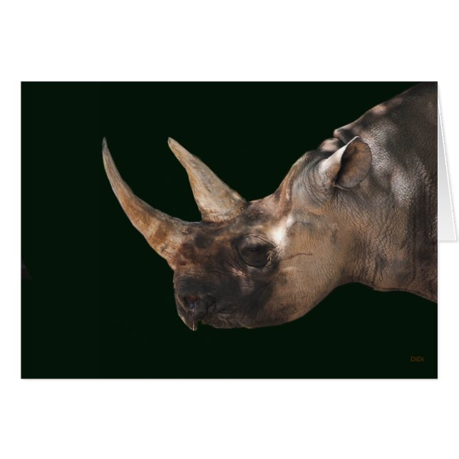 Rhinoceros Hälsningskort (Framsidan Horizontal)