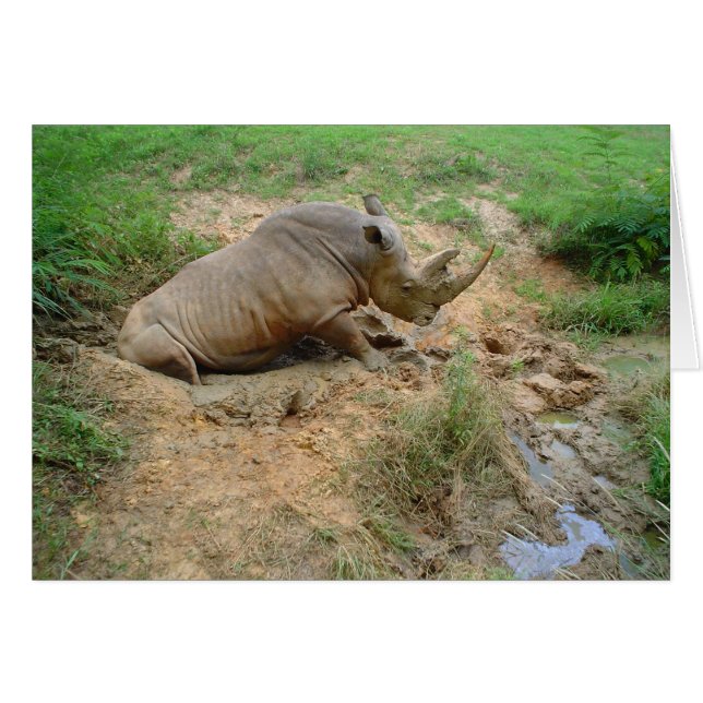 Rhinoceros Hälsningskort (Framsidan Horizontal)
