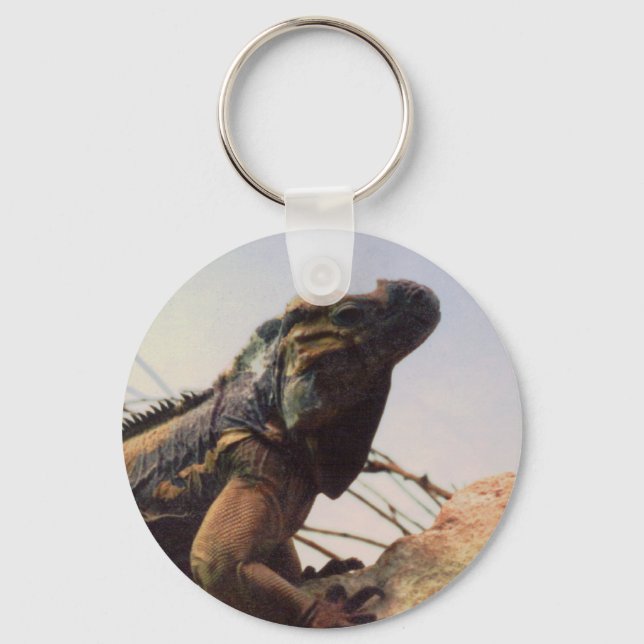 Rhinoceros Iguana Nyckelring (Framsida)