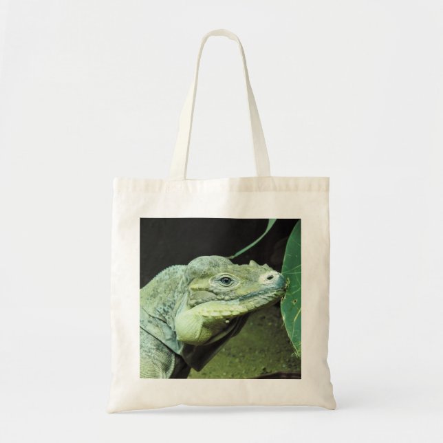 Rhinoceros Iguana Tygkasse (Framsidan)
