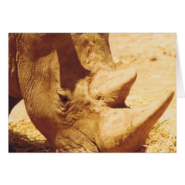 Rhinoceros Kärlek Hälsningskort (Framsidan Horizontal)