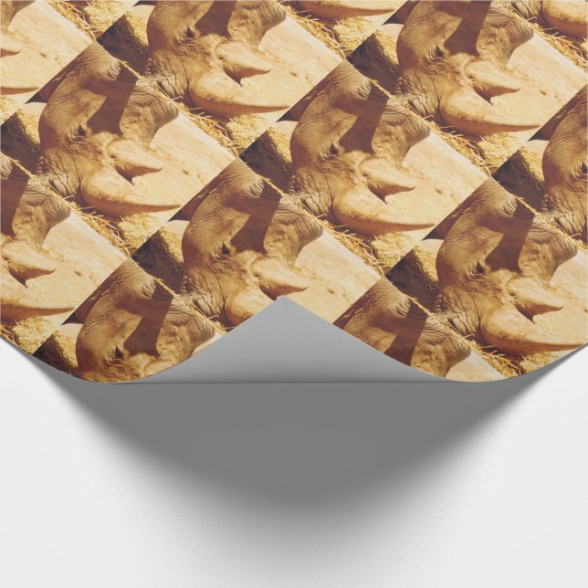 Rhinoceros Kärlek Presentpapper (Hörn)