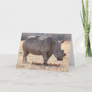 Rhinoceros Kort