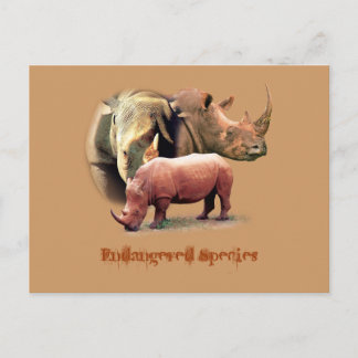 Rhinoceros: Kort för utrotningshotade arter