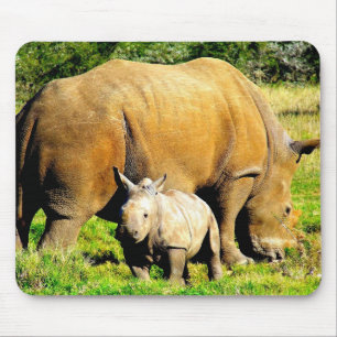 Rhinoceros Mor & Calf Wildlife Photography Musmatta