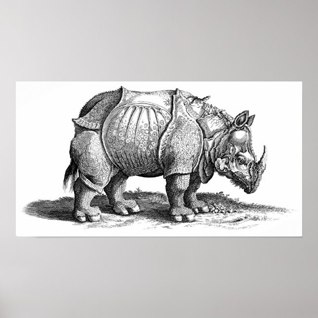 Rhinoceros Poster (Framsidan)