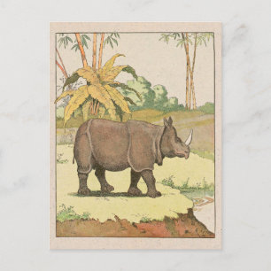 Rhinoceros Story Bok Teckning Vykort