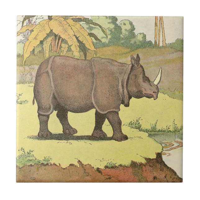 Rhinoceros Storybook Kakelplatta (Framsidan)
