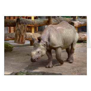 Rhinoceros unicornis hälsningskort