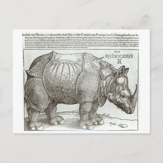Rhinoceros, utskrift till Maximilian I (1459-1519) Vykort (Framsida)