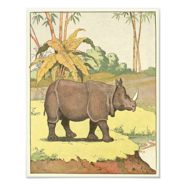 Rhinoceros vid vattnen Hål Illustrated Fototryck (Framsidan)
