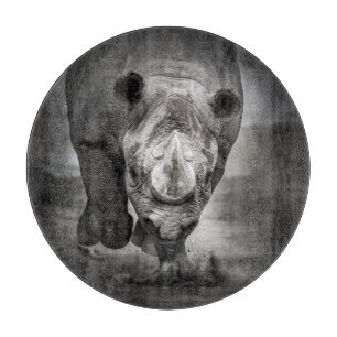 Rhinoceros: Vild Animal Porträtt.