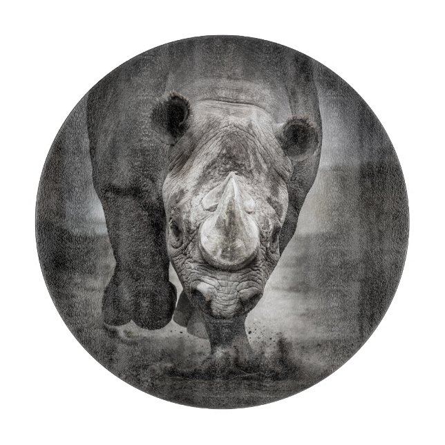 Rhinoceros: Vild Animal Porträtt. (Framsidan)