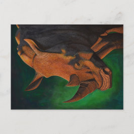 Rhinoceros Vykort