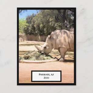 Rhinoceros vykort