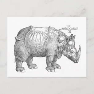 Rhinoceros Vykort
