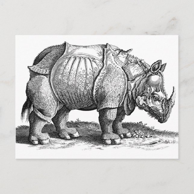 Rhinoceros Vykort (Framsida)