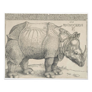 Rhinoceros, Woodcut by Albrecht Durer Fototryck