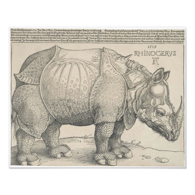 Rhinoceros, Woodcut by Albrecht Durer Fototryck (Framsidan)