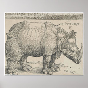 Rhinoceros, Woodcut by Albrecht Durer Poster