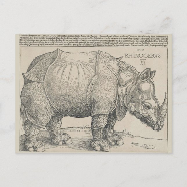 Rhinoceros, Woodcut by Albrecht Durer Vykort (Framsida)