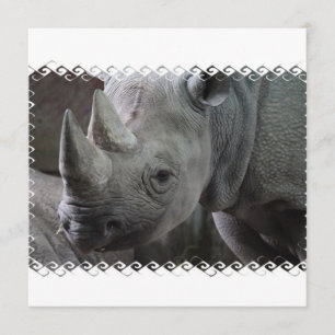 Rhinofaktabaserade inbjudningar
