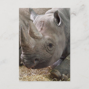 Rhinoinbjudan Inbjudningar