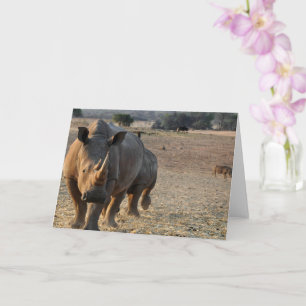 Rhinokort Kort