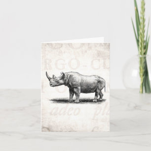 Rhinos för noshörning för kort
