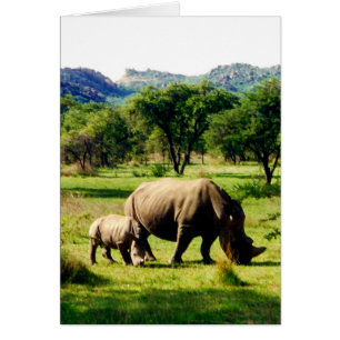 rhinos hälsningskort
